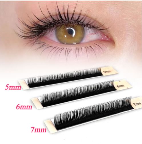 bottom lashes